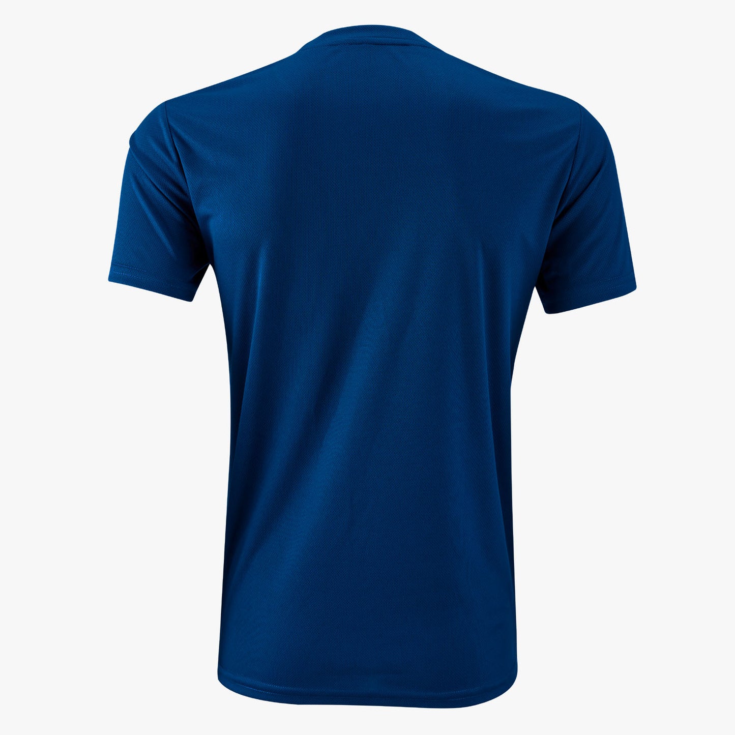 T-shirt graphique Protech Dryfit Sports (Bleu) | RNZ10087 |